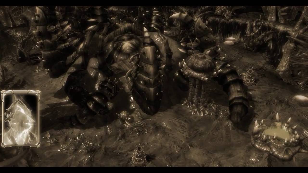 #15 