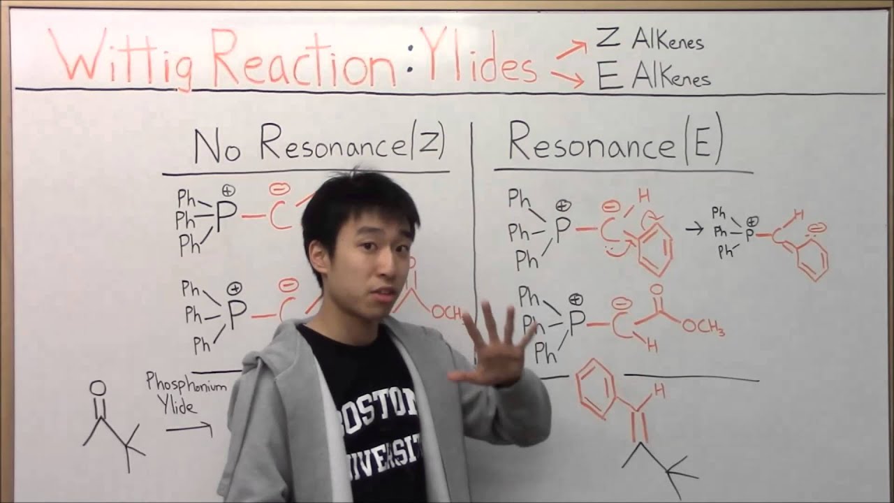 The Wittig Reaction's E & Z Alkene Products Made Easy! - Organic Chemistry