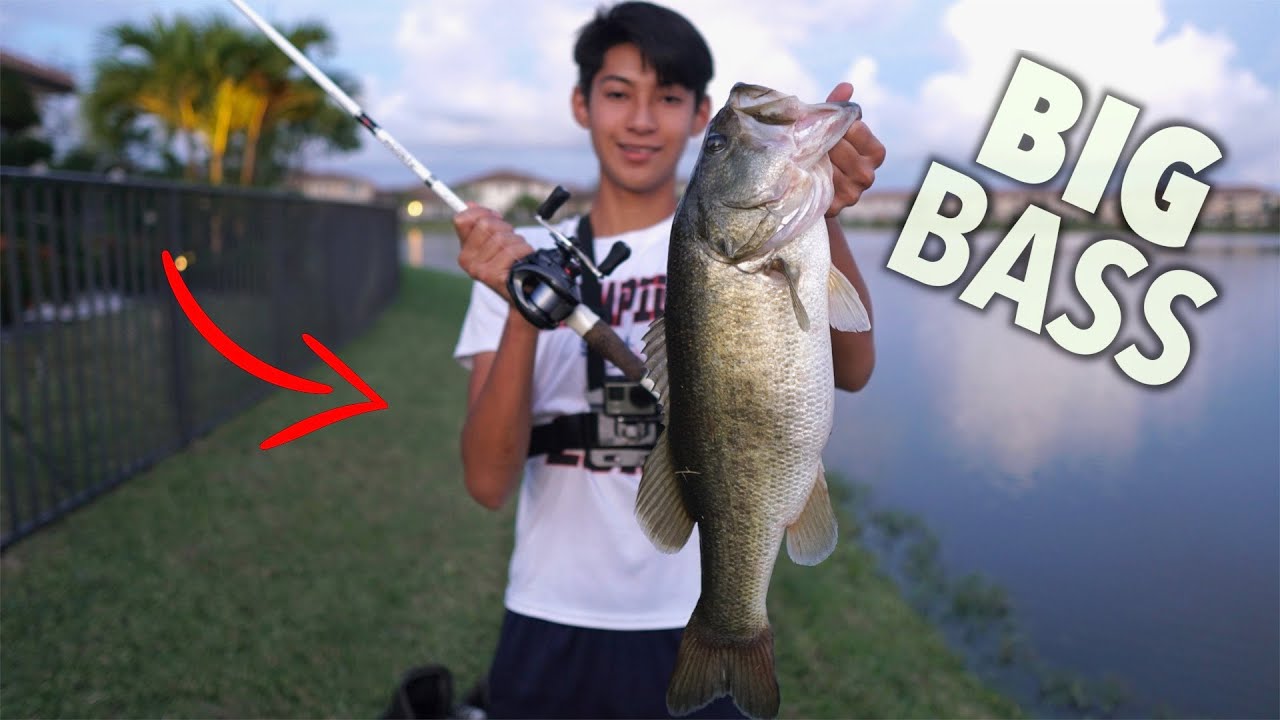 Catching GIANT bass right against the bank!!!