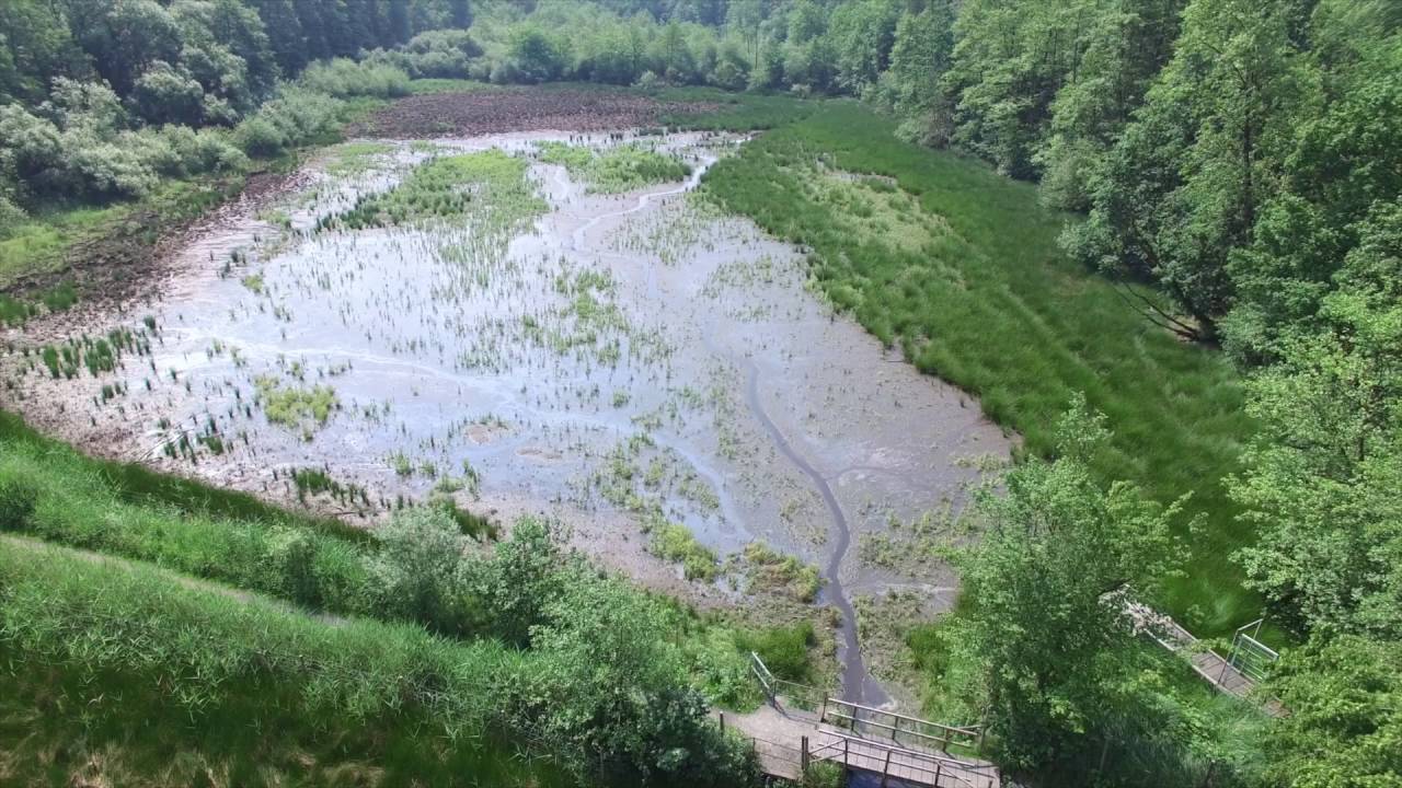 Dalheim Rödgen: Raky Weiher und Motte Alde Berg
