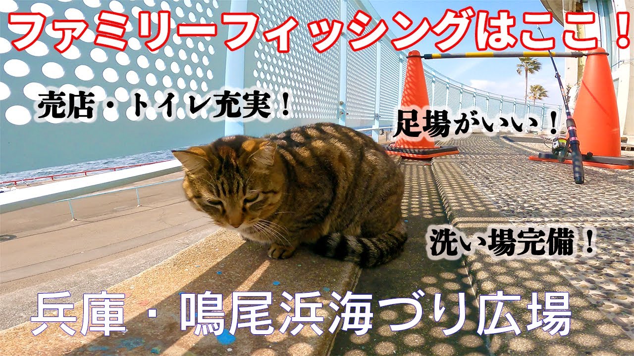 【釣り場動画#147】ファミリー必見！初心者からベテランまで楽しめる！アクセス抜群！多彩な魚種が狙える人気スポットを徹底解剖！