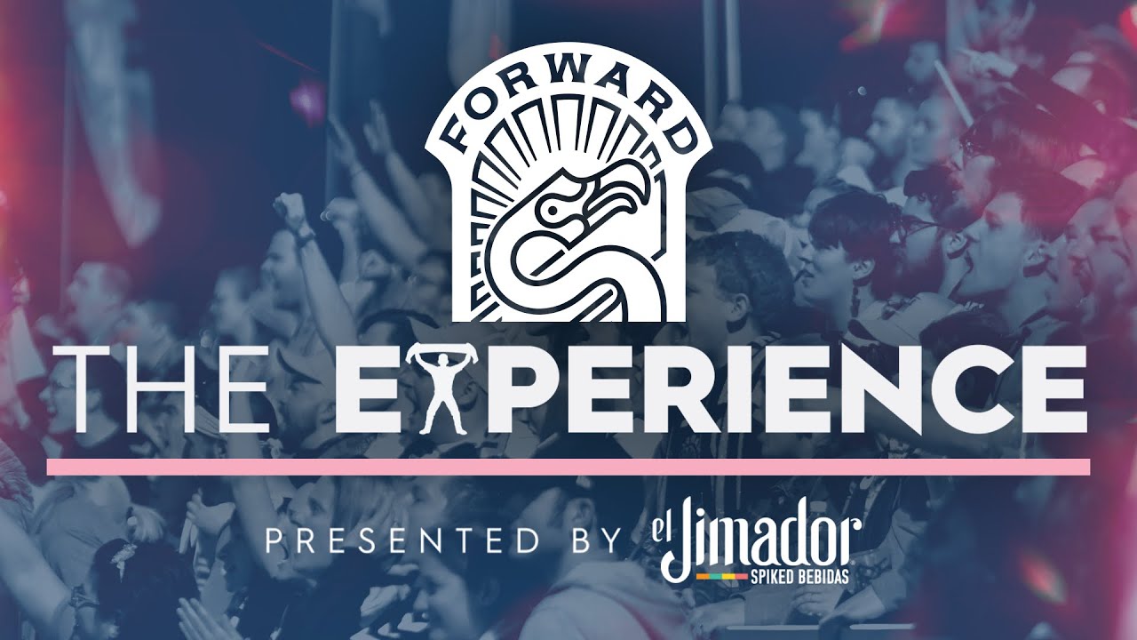 Flamingos of Madison: The Story of The Flock | The Experience