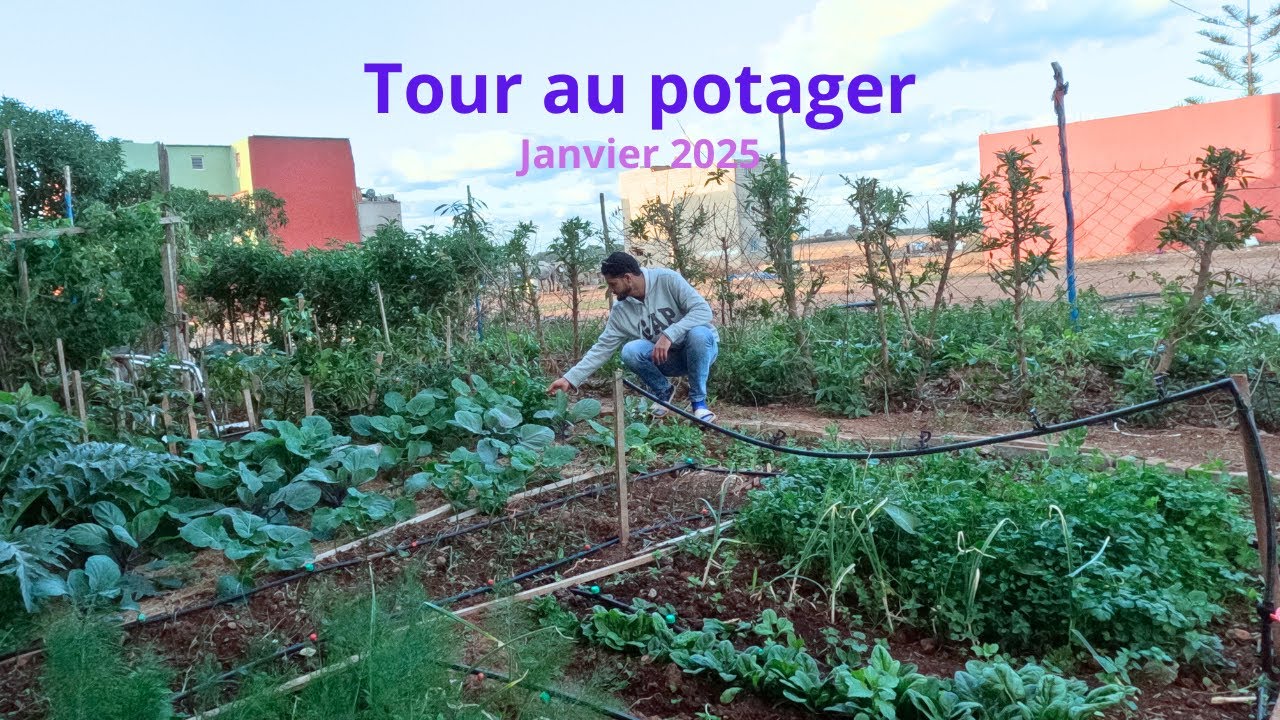 Tour potager 2025 #garden #jardinage #urbangardening    جولة فالجردة