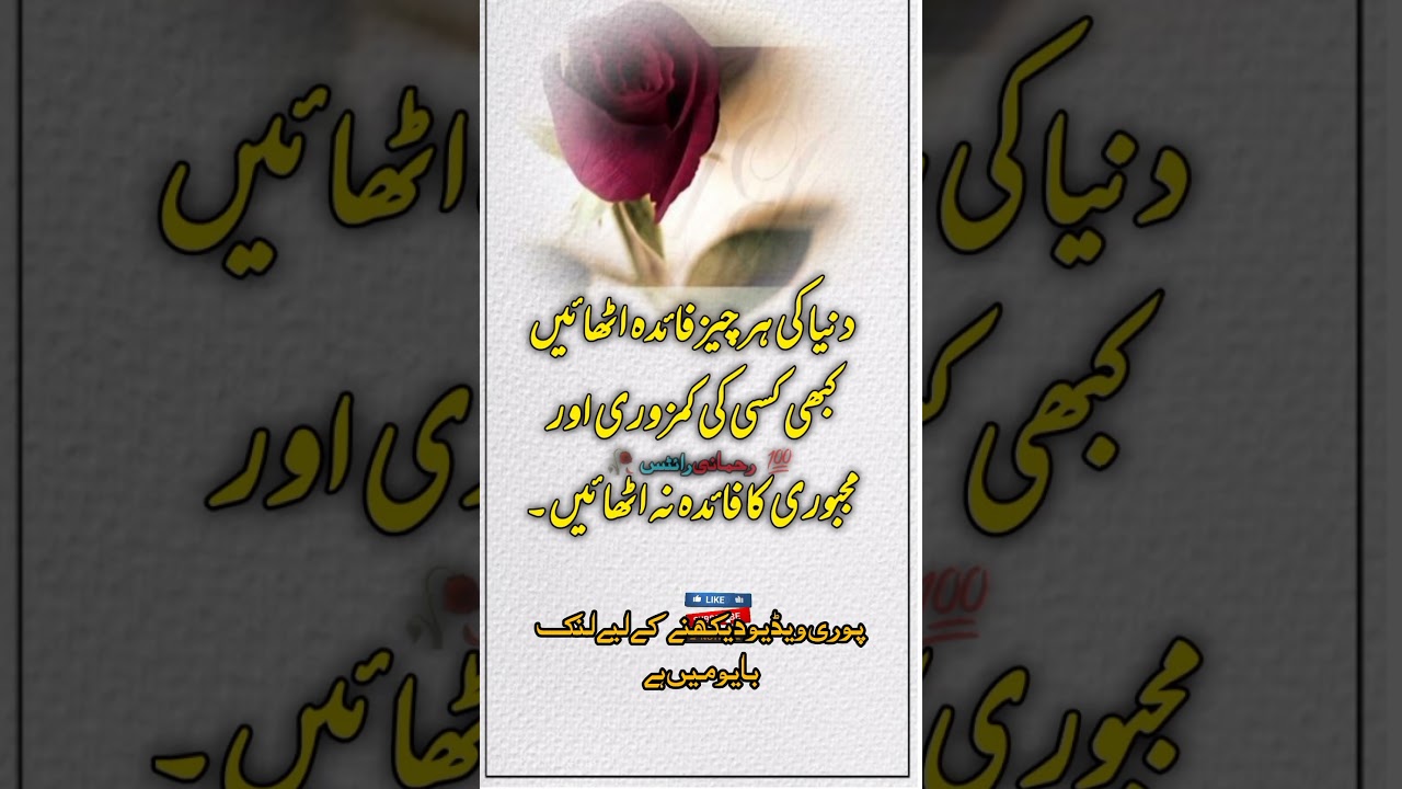Sunehri Alfaaz |Golden Words | Best Urdu Lines | Urdu Akwal | Urdu Quotes | #rehmanitv #quotes