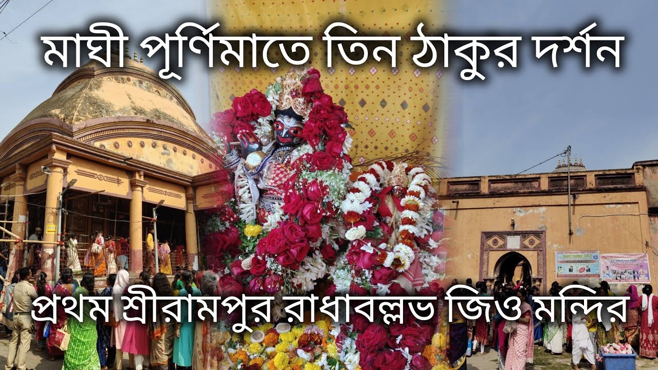 Maghi Purnima Special তিন ঠাকুর Darshan Vlog 🌸 | দর্শন শুরু Shrirampur Radha Vallabh Temple থেকে