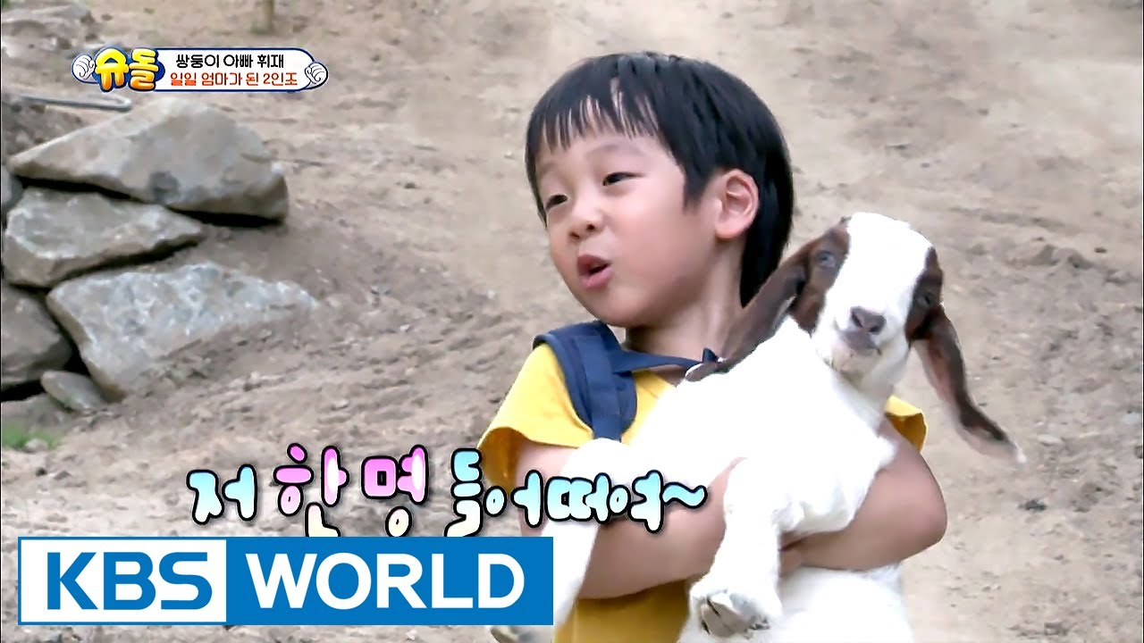 Twins become the baby goat’s mother for today! [The Return of Superman / 2017.07.16]