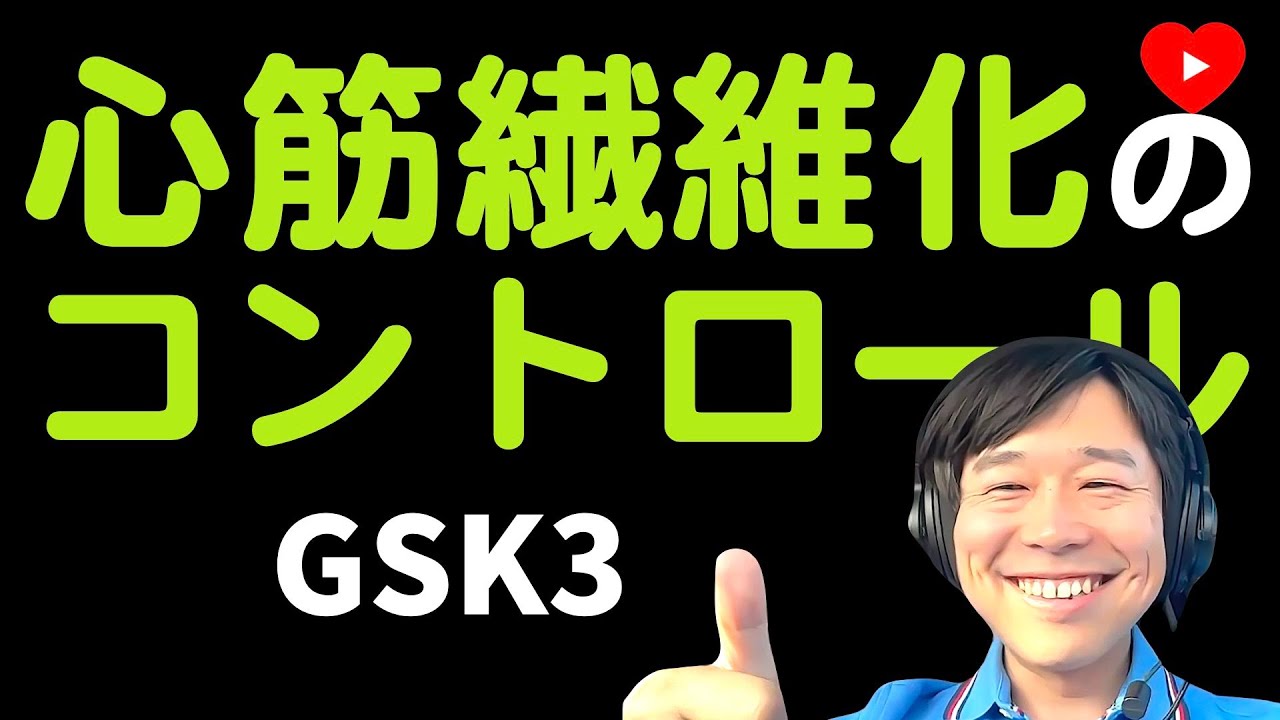 【ベーシック】心筋繊維化とGSK3