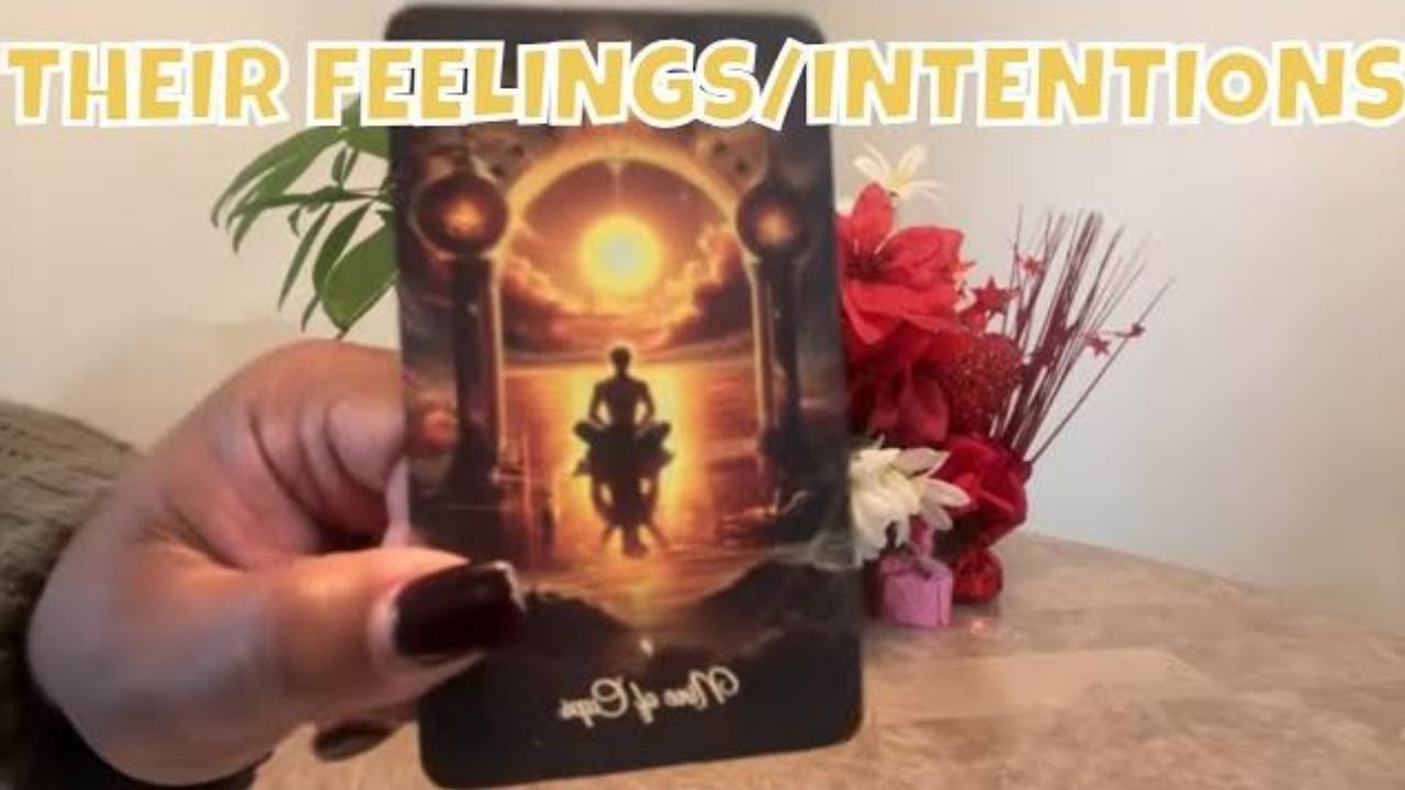 All Signs Tarot Love Their Current Feelings and Intentions