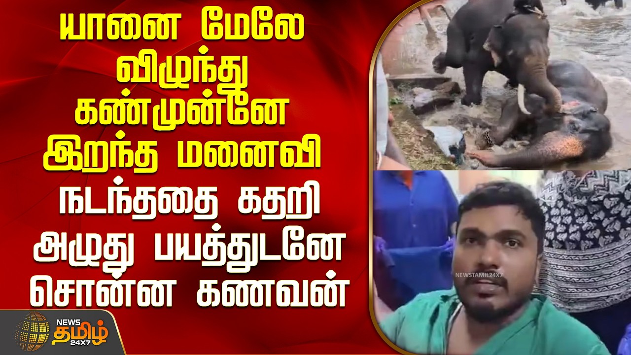 Chennai Woman Death | Karnataka | யானை மேலே விழுந்து கண்முன்னே இறந்த மனைவி - நடந்ததை சொன்ன கணவன்