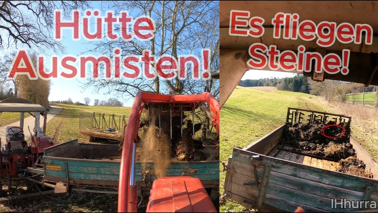 H&uuml;tte Ausmisten 🐄 Mist streuen 💩 IHC 353 🚜 Steine werden zum Geschoss 😳