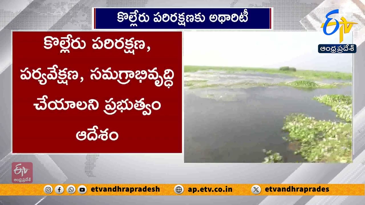 కొల్లేరు సరస్సు అభివృద్ధి కోసం ప్రత్యేక అథారిటీ | Govt Forms KLMA for Kolleru Lake Development