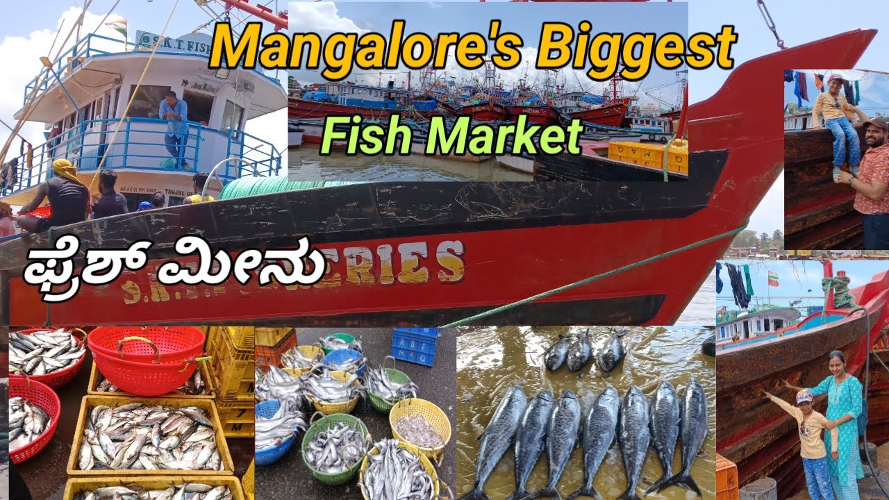 🦐Mangalore's Biggest fish market 🐟ದಕ್ಕೆ ಮೀನು ಮೇಳದ ಸೌಂದರ್ಯ!🐙#renitaslifestyle #mangalore #fishmarket