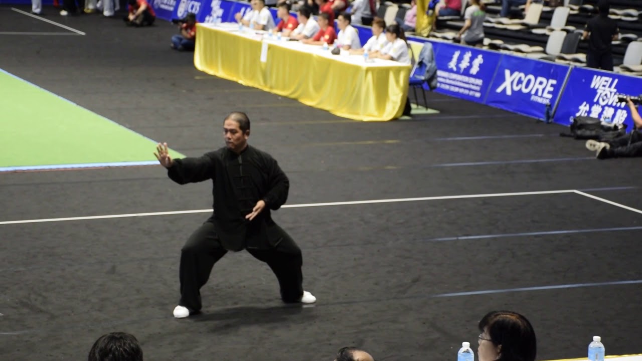 Chen Style 13 Form (Zhu TianCai) 陈式太极拳13式- Alex Chin