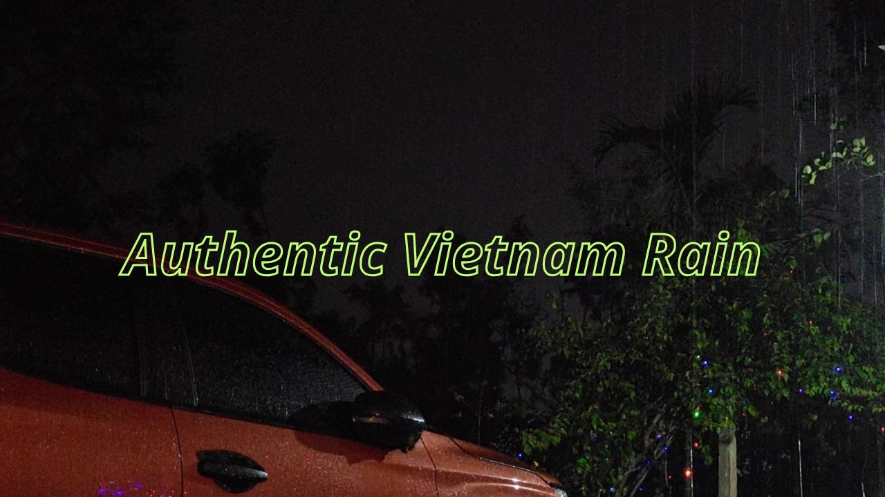 3 Hours of Real Vietnam Countryside Rain for Deep Sleep