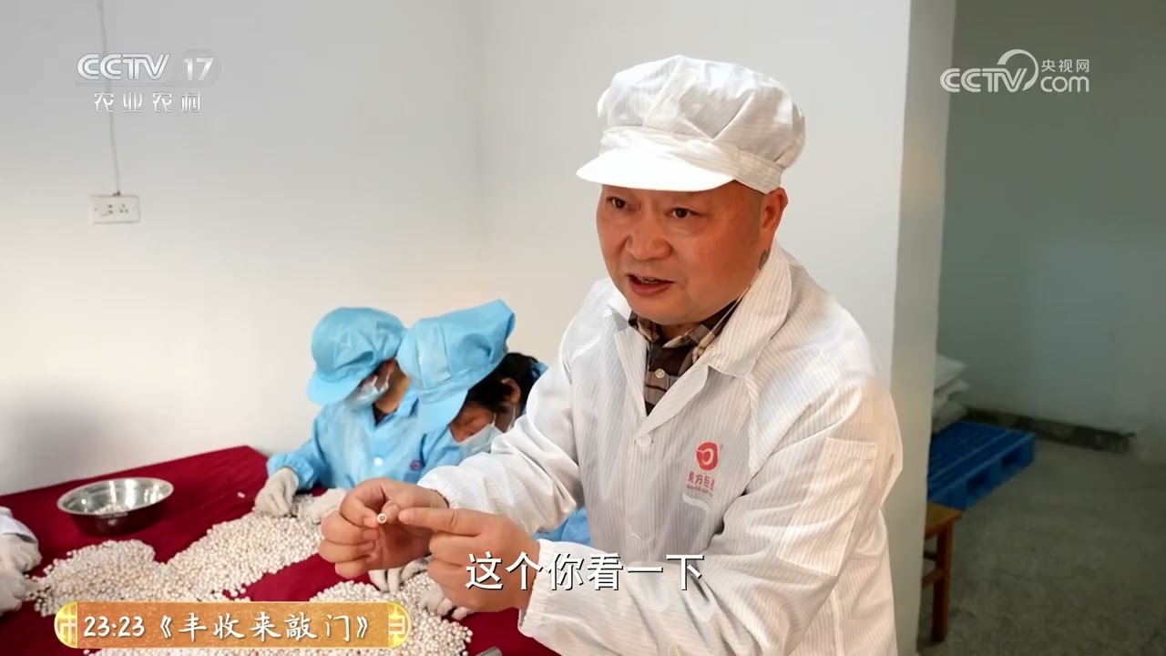 《共富经》 20251127 点珠成金 | 农业致富经 Agriculture And Farming