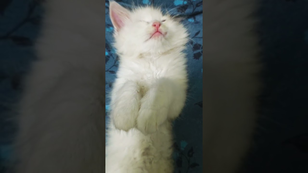 just look at his adorable face|Mickey's sleepy|| 