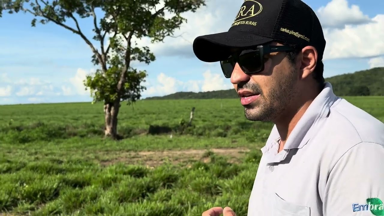 Lira Consultoria e 900 Animais Nelore em 110 Hectares – Dianópolis-TO