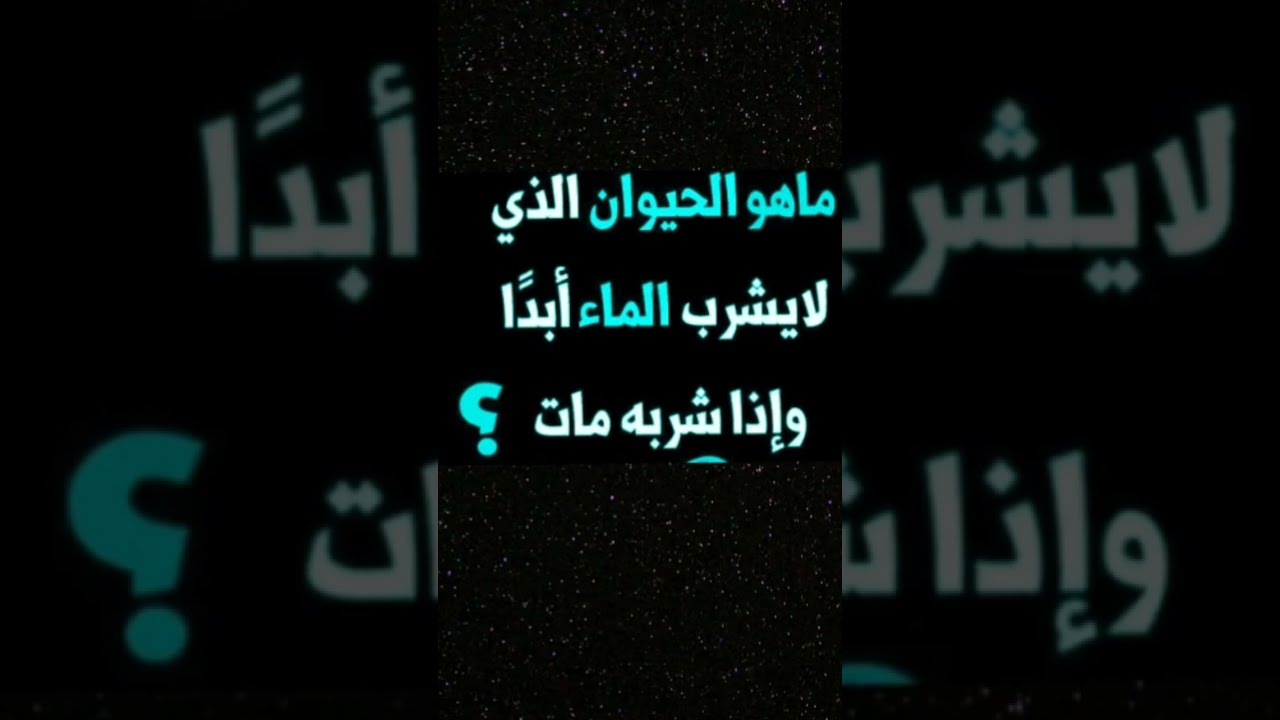 بدأت قناة 