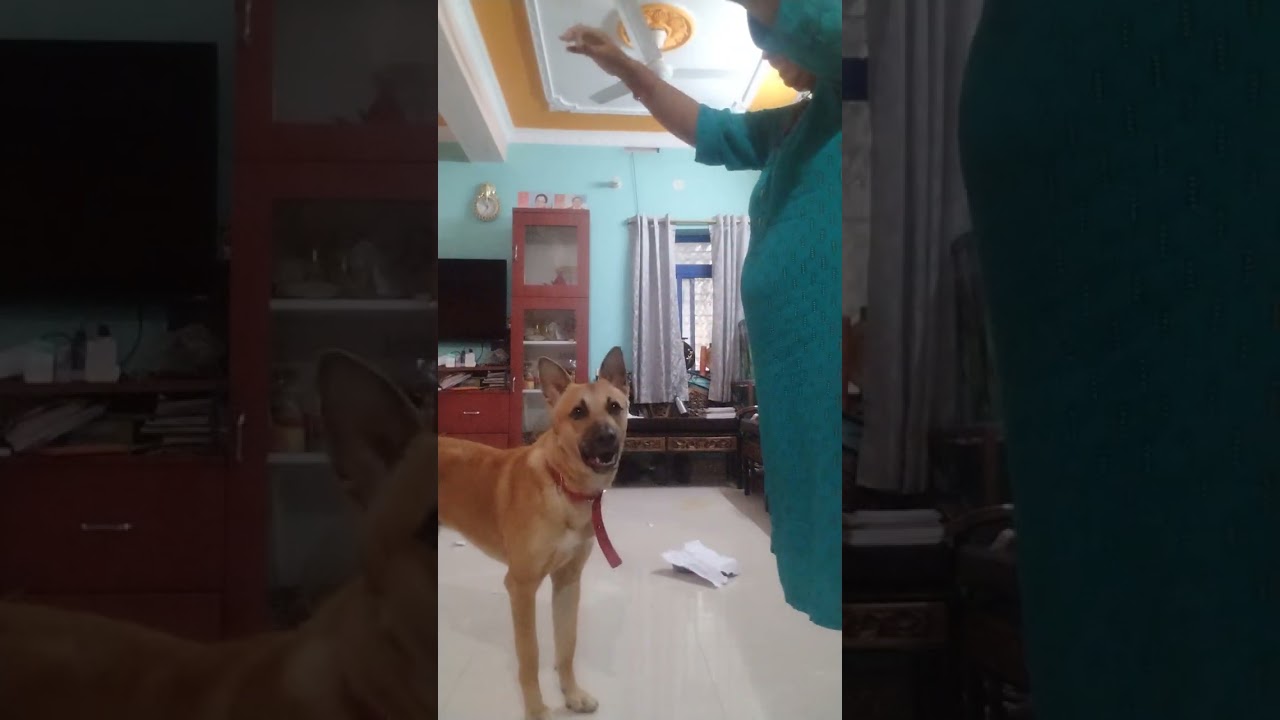 Aaj shreru n do ghante m pure din ka badmasi kr diya