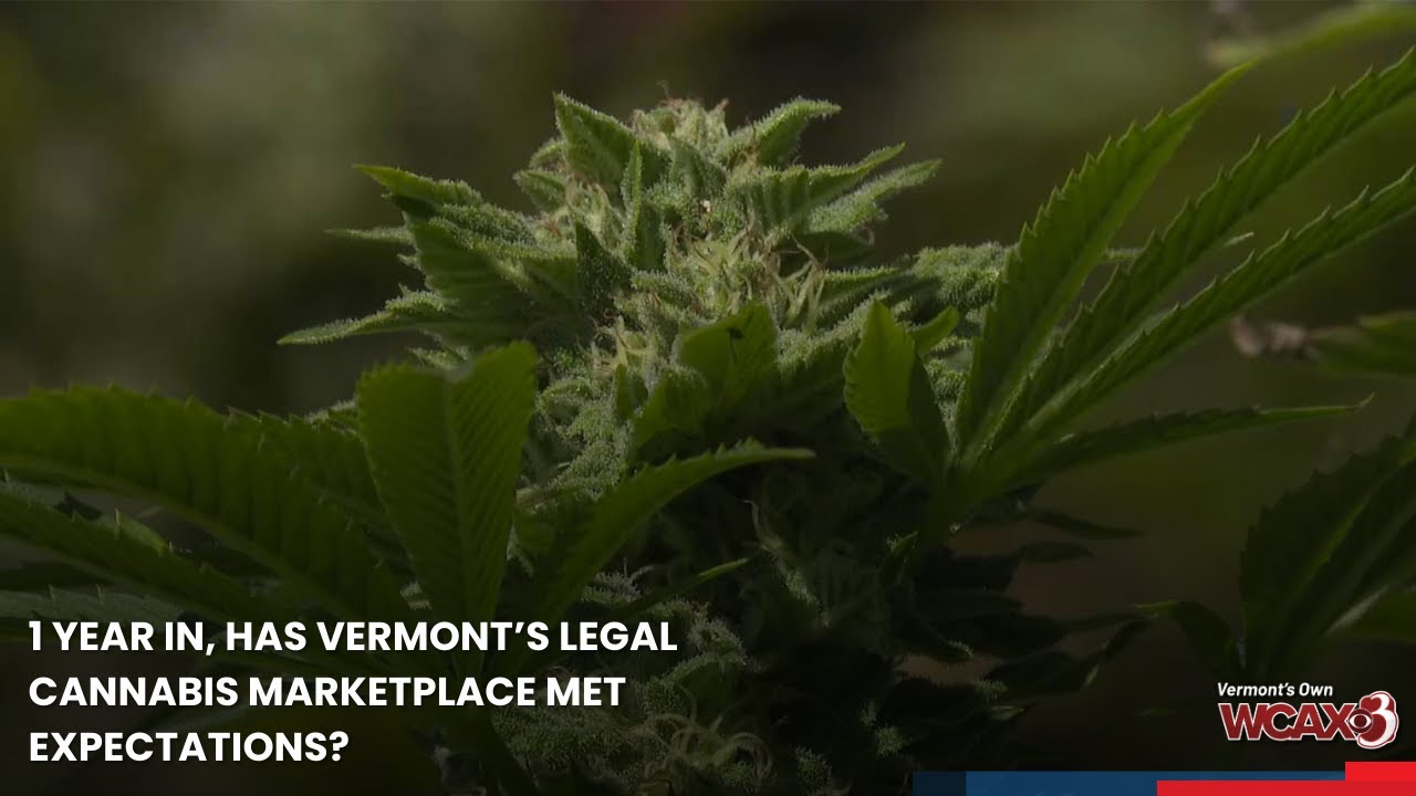 1 year in, has Vermont's legal cannabis marketplace met expectations?