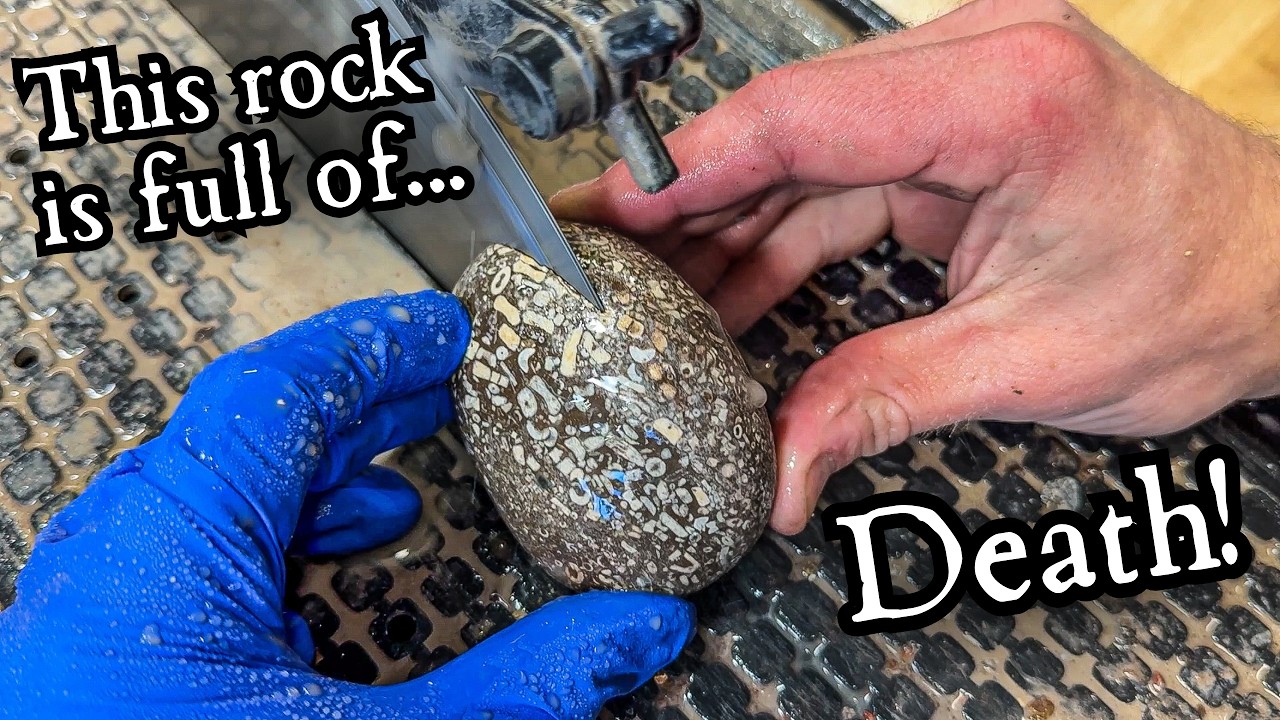 Грязевые породы, ПОЛНЫЕ окаменелостей | Огранка и полировка окаменелого супа!