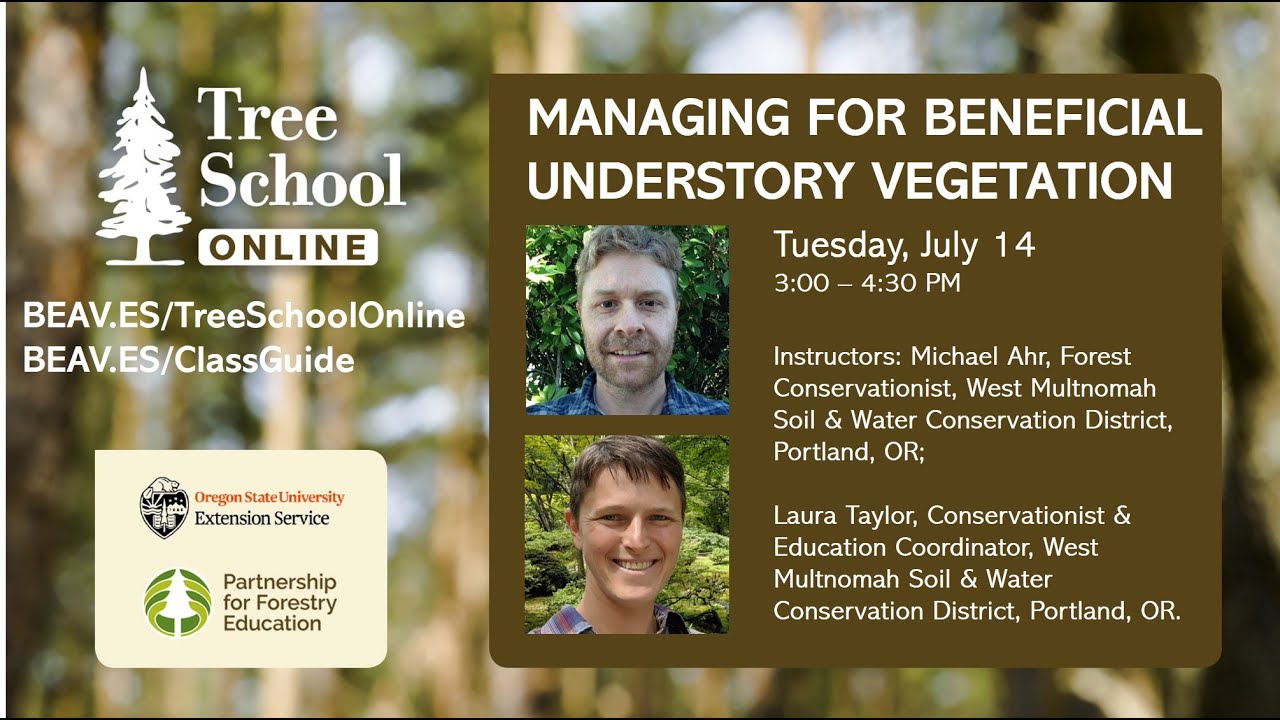 Tree School Online: Managing for Beneficial Understory Vegetation