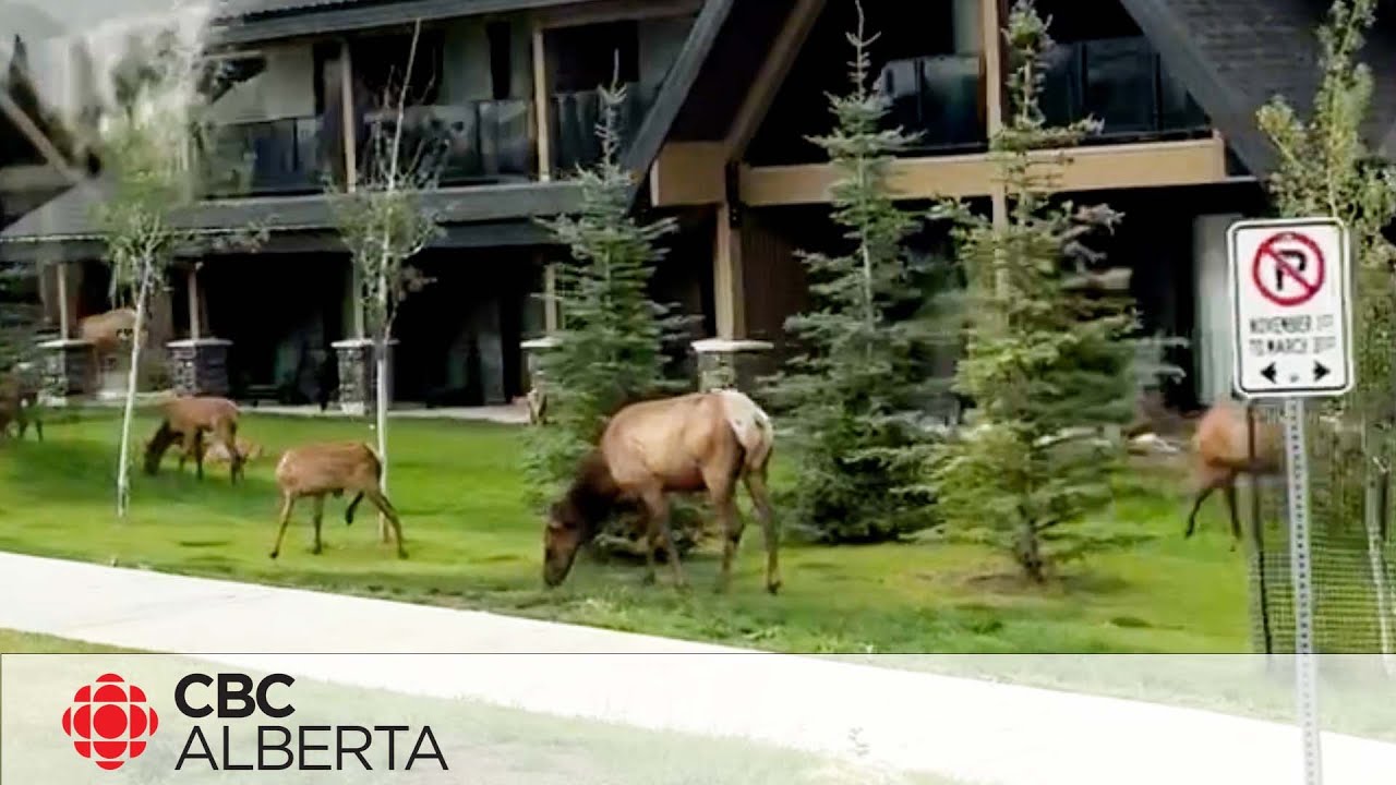 Sunday's media tour of Jasper