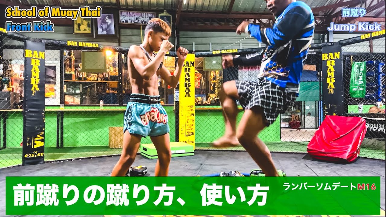 19.突き刺す前蹴り、距離を取る前蹴り。蹴り方、使い方。#ムエタイ#前蹴り