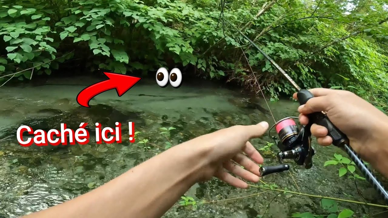 DÉCOUVERTE d'une Rivière à TRUITES (pêche à la dérive naturel)