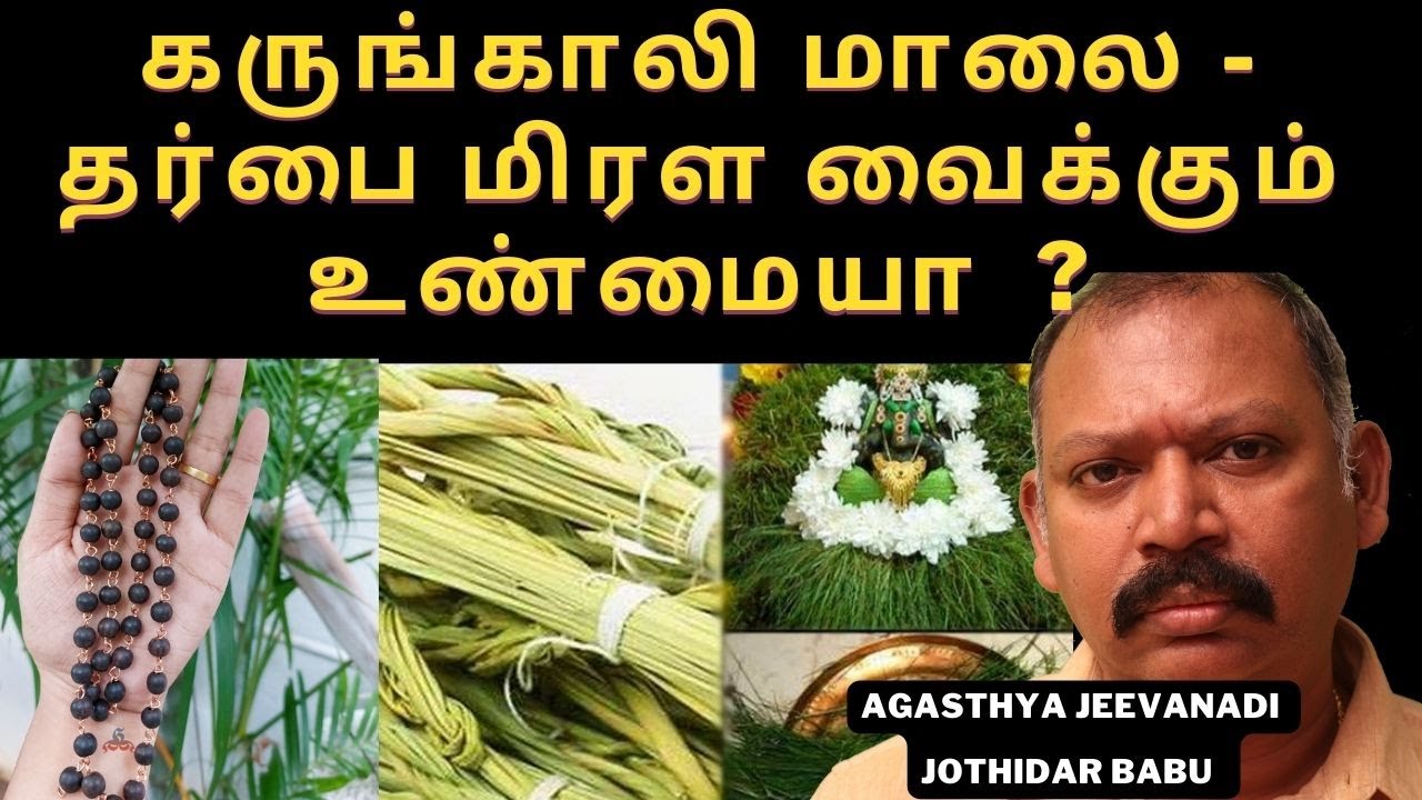கருங்காலி மாலை -   தர்பை  மிரள வைக்கும் உண்மையா?agasthya jeevanadi babu jothidar