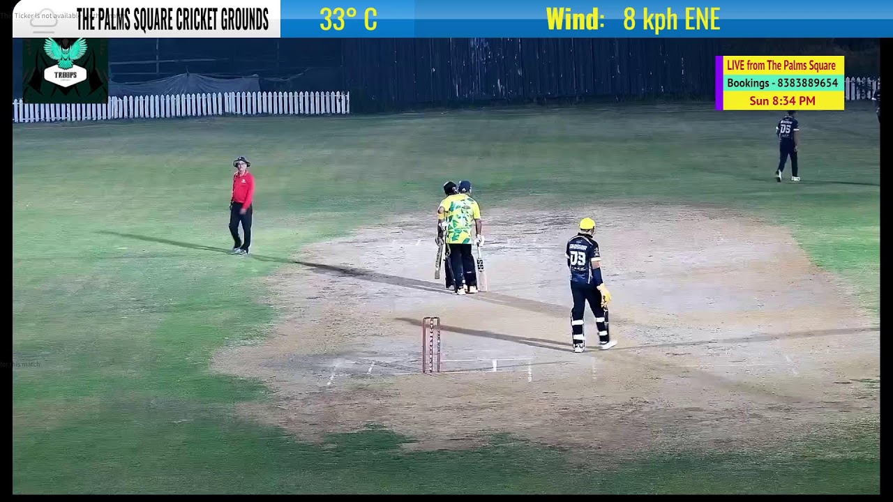 Live Cricket at The Palm Square Cricket Ground 2