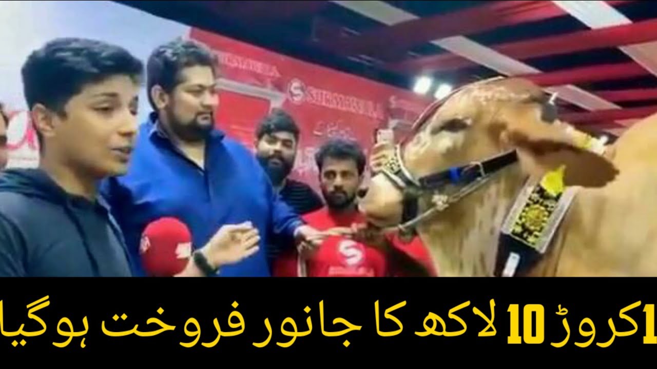 1 Crore 10 lakh Sold Qurbanai Cow Maweshi Mandi 2019 I Surmawala Cattle Farm  I Highest Price 2019