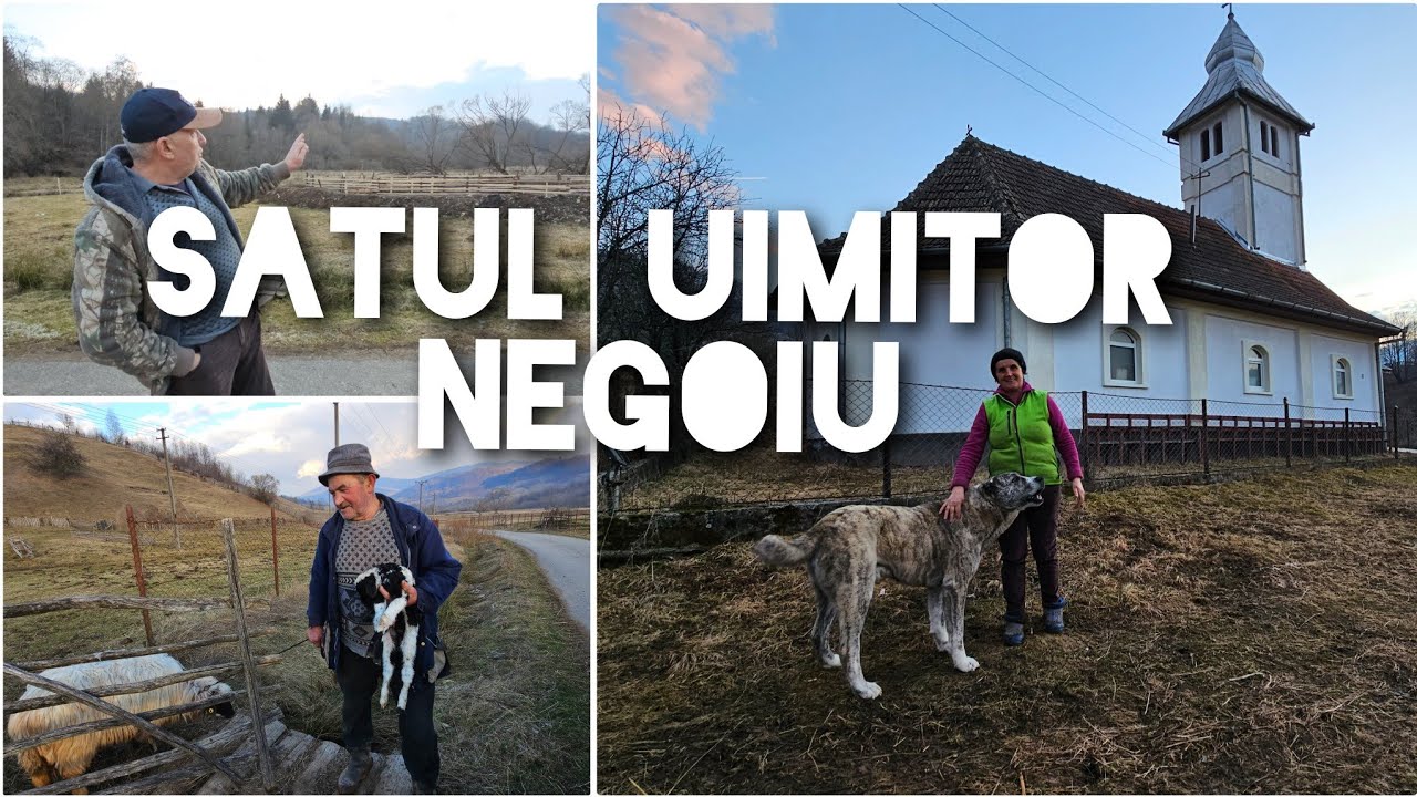 Românii din minunatul sat Negoiu, viața în raiul din munții Poiana Ruscă