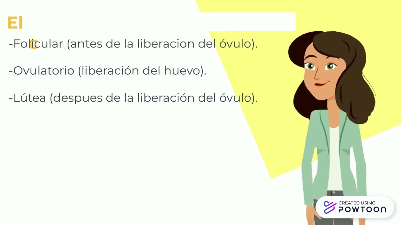 CICLO ENDOMETRIAL