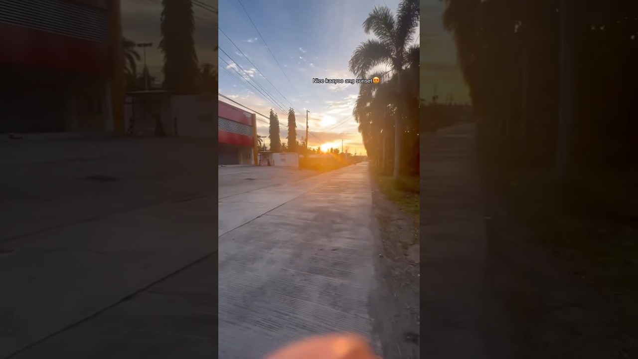 Dailyvlog(5)