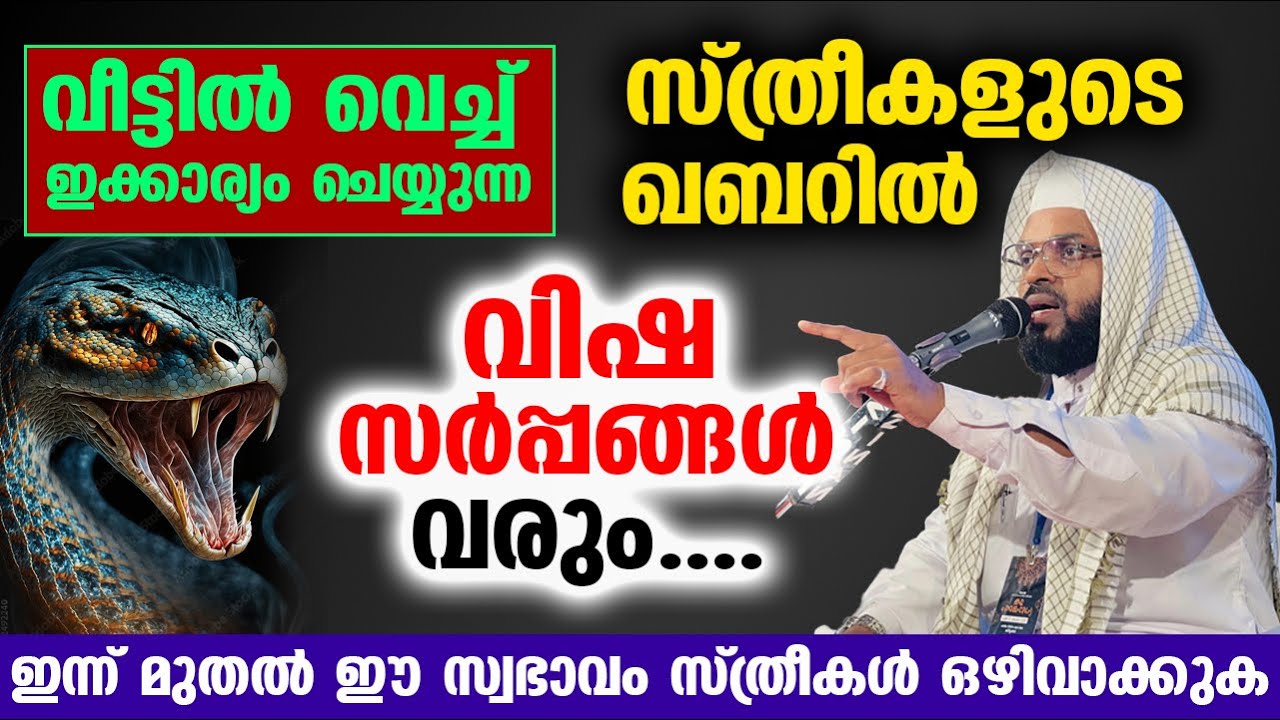 ഈ സ്ത്രീകളുടെ ഖബറിൽ വിഷ സർപ്പങ്ങൾ വരും.... വീട്ടിൽ വെച്ച് ഇക്കാര്യം ചെയ്യാതിരിക്കുക | Qabar
