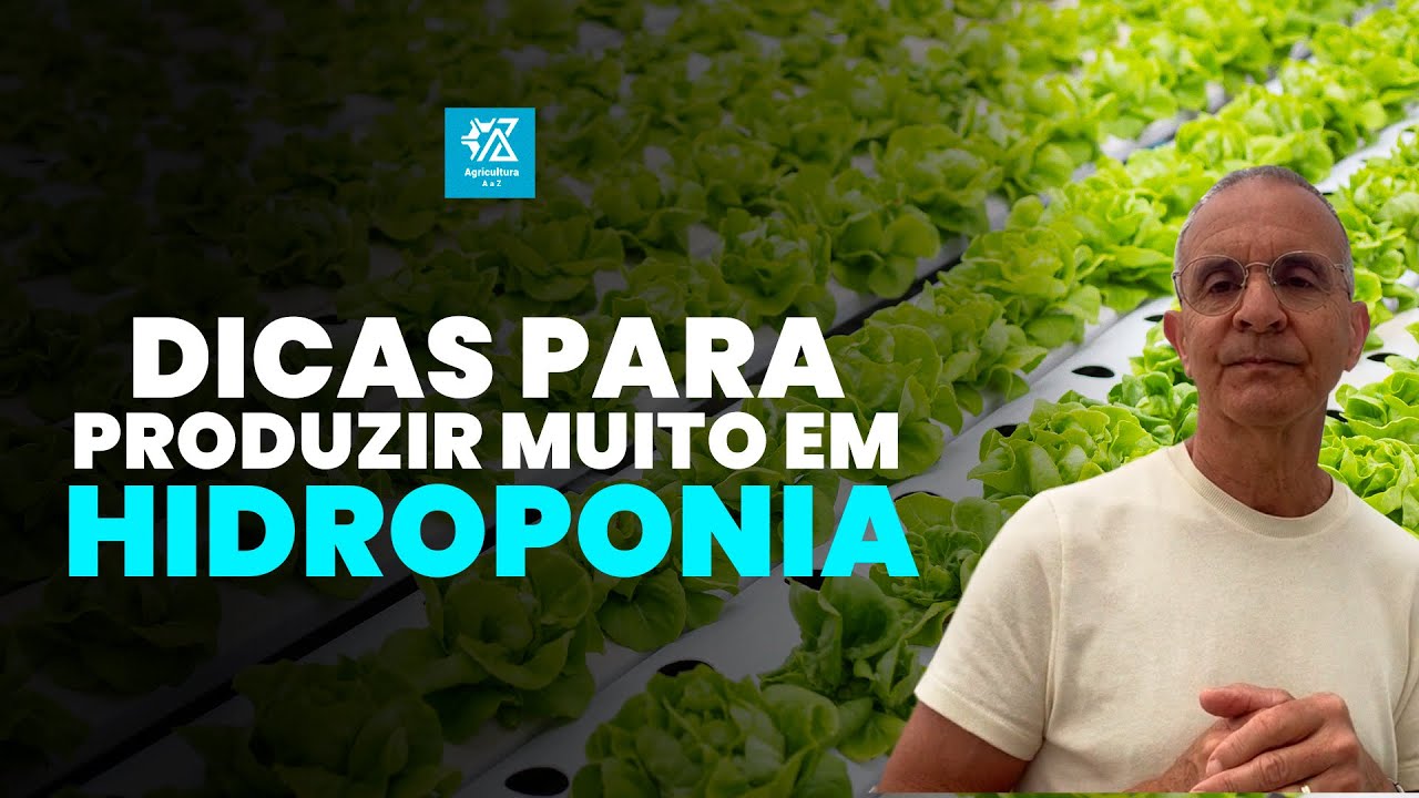 HIDROPONIA: Como Obter Altas Produtividades Nesse Sistema