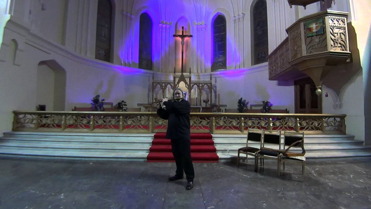 Norbert Rodenkirchen - Lai de la Pastourelle (Live in Moscow, 2015)