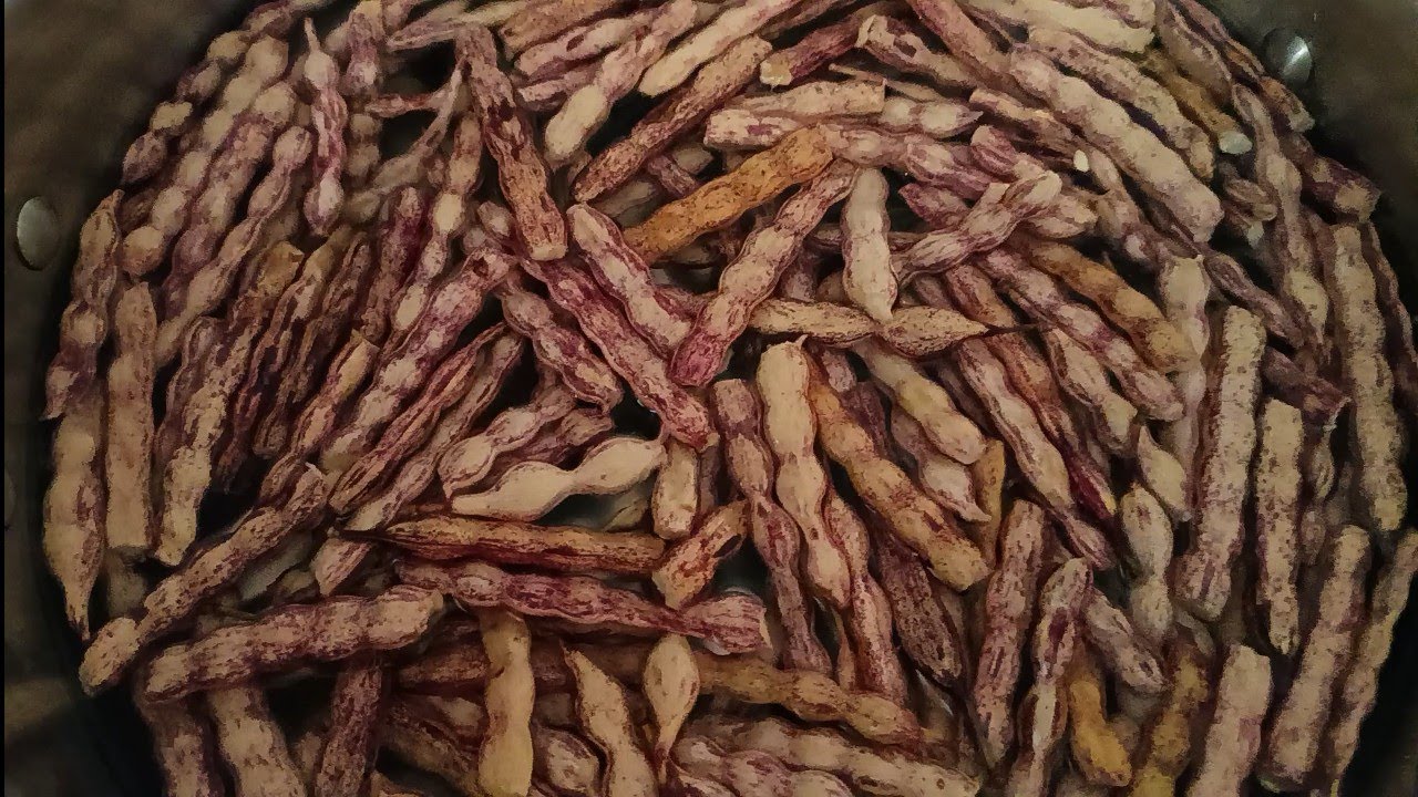 #mesquitebeans How to make mesquite bean Jelly!