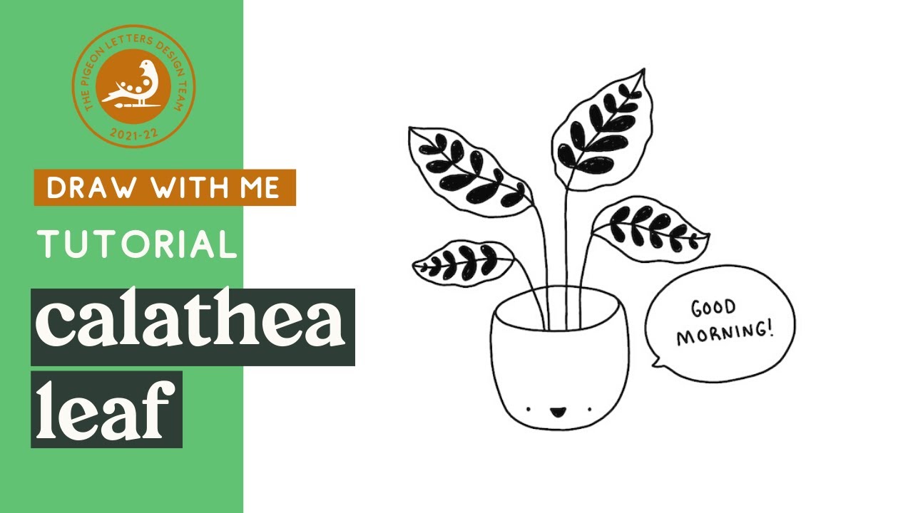 Draw a Calathea Plant Leaf