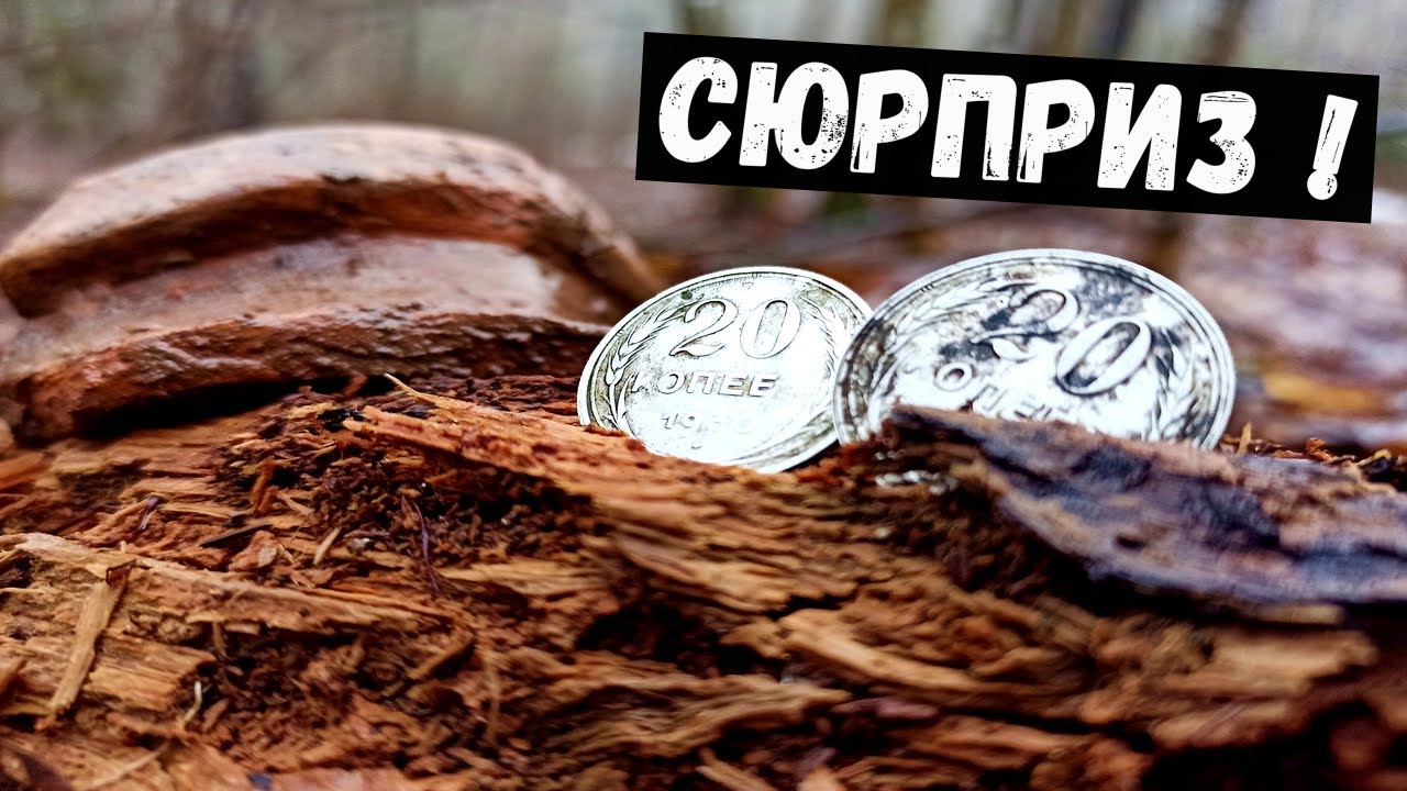 Нашел усадьбу  в глухом лесу  ! Коп в Беларуси 2022!
