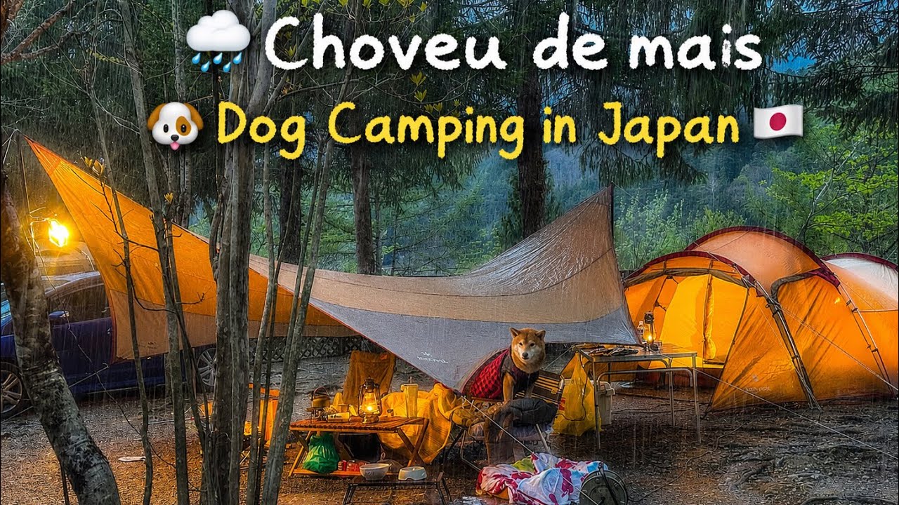 CAMPING NO JAPÃO 🇯🇵 COM MUITA CHUVA ☔️🌧️ N.E.W奥長良キャンプ場&WANKO #camping #acampamento #enjoylife #japão