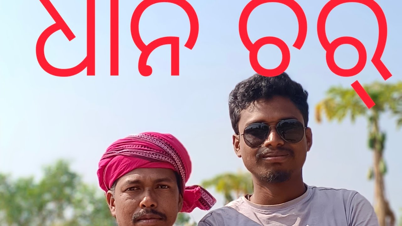 😍😍ଧାନ ଚର#Comedy #video#youtube #funny #real #shorts #viralvideo #comedyscene #👍👍👍👍samalal #nothingim