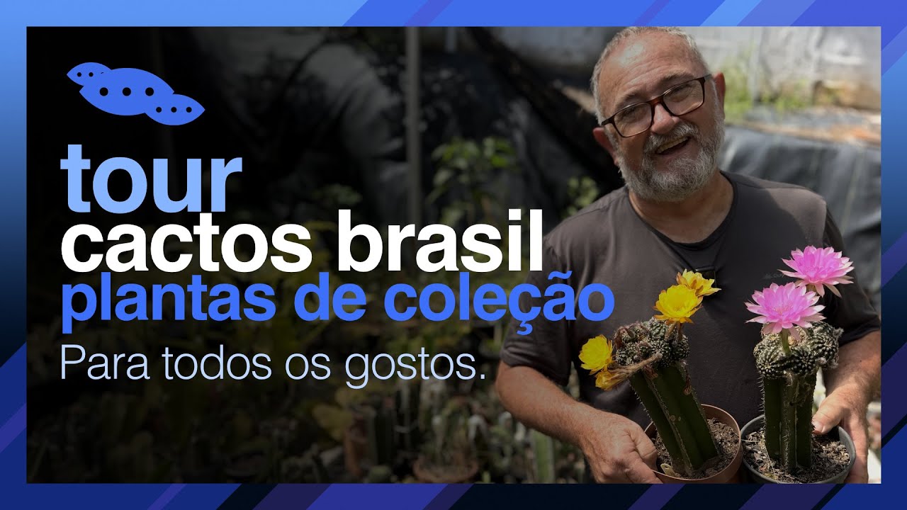 Tour Cactos Brasil: Inspiração em PLANTAS PARA COLECIONAR
