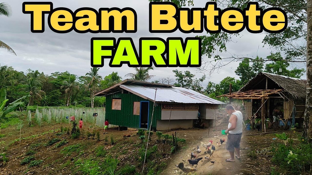 Team Butete Farm Update @edisonbuteteofficial5623