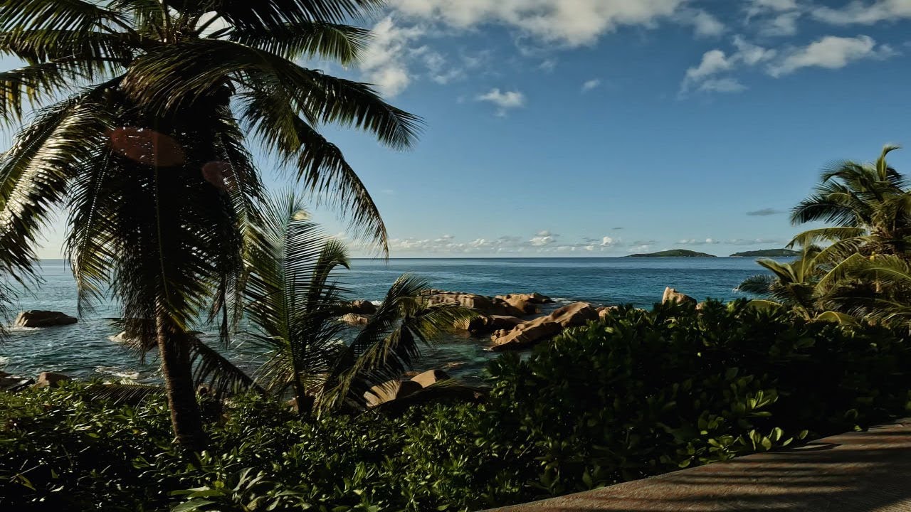 Explore La Digue, Secyhelles 🇸🇨 by bike - trip around the island
