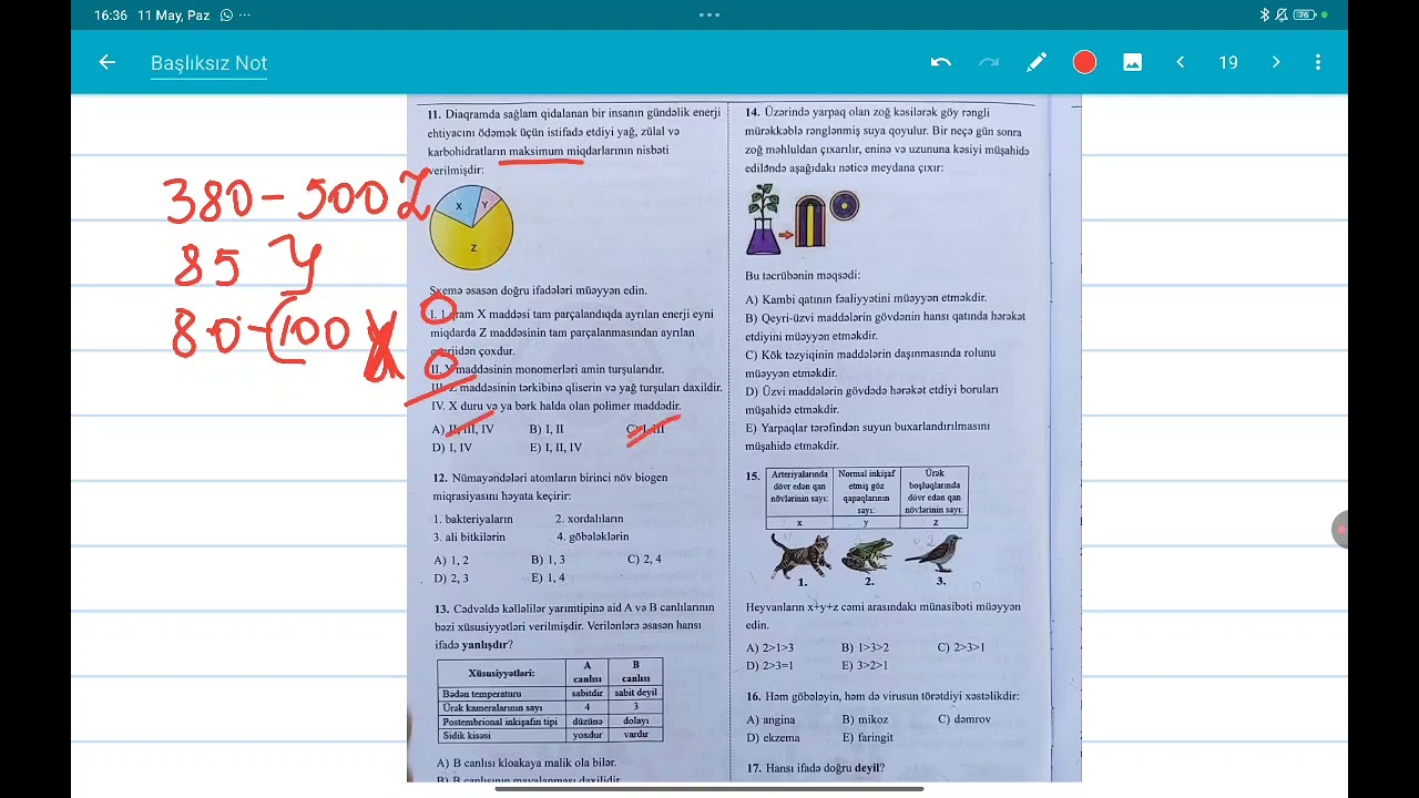 11may 2025 OTK sualları 11 sinif Biologiya