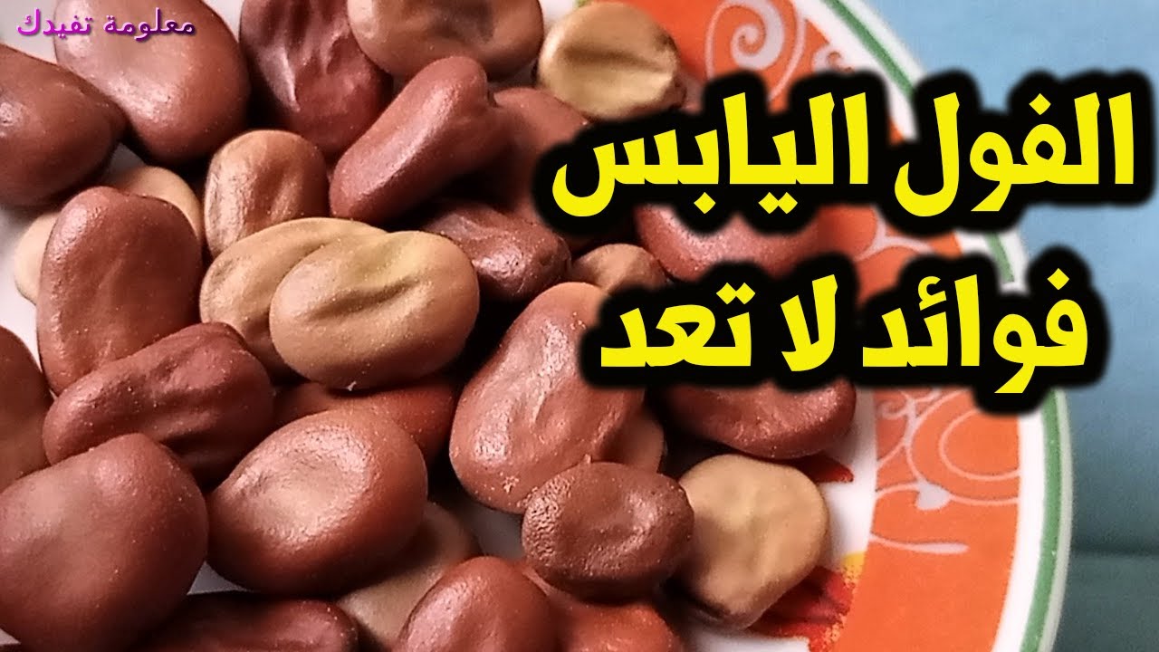 17 فائدة فى الفول اليابس وفوائدة للانيميا الفول اليابس فوائد كثيرة حقا ؟؟