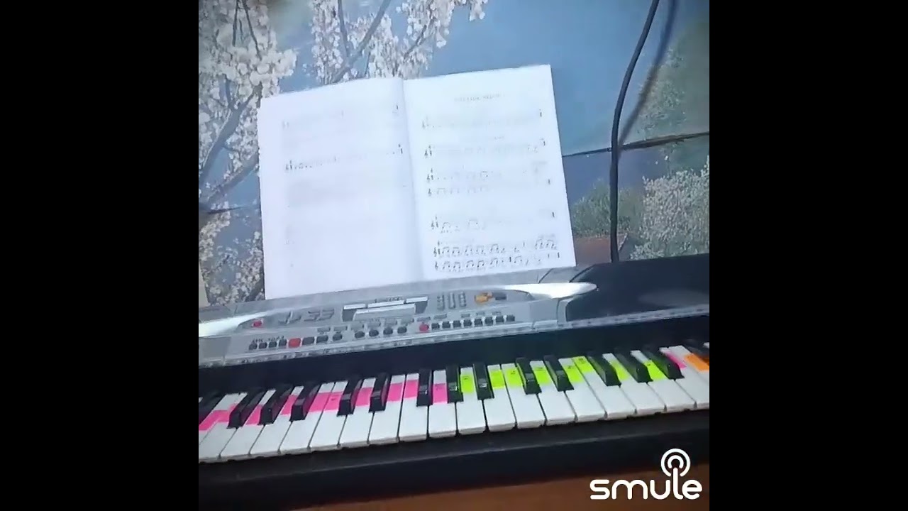 Karlı kayın ormanında 