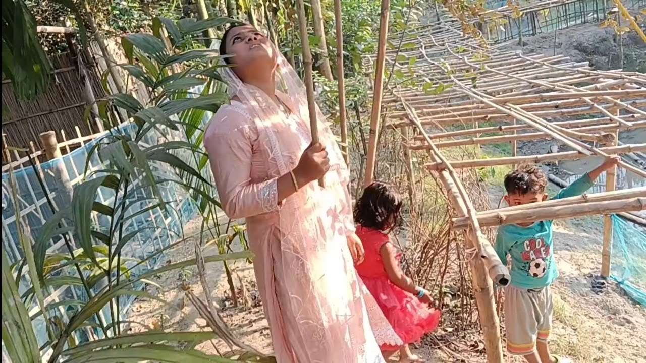 বড়ই চুরি করে খাইতে গিয়ে মালিকের কাছে ধরা খেলো চুমি